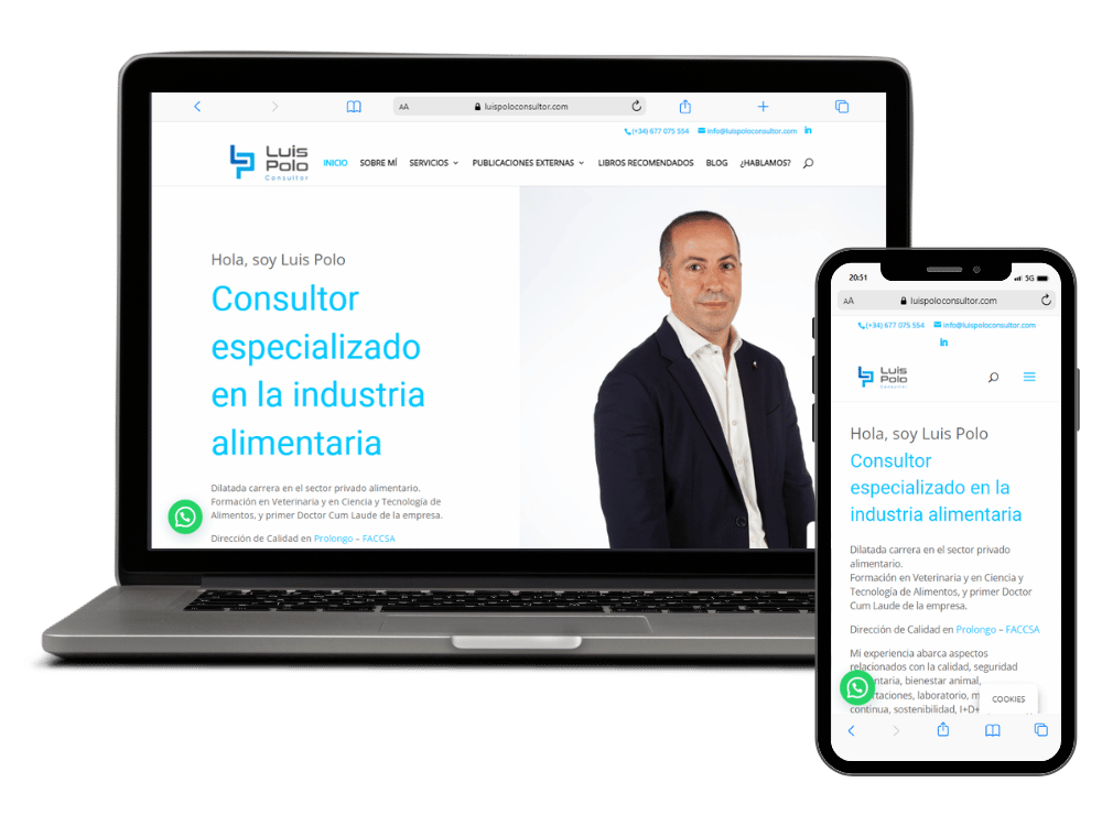 Luis Polo Consultor